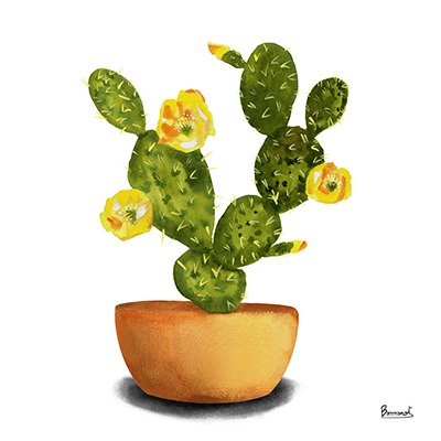 Cactus Flowers III <br/> Bannarot