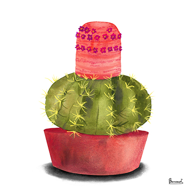 Cactus Flowers IV <br/> Bannarot