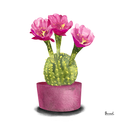 Cactus Flowers V <br/> Bannarot