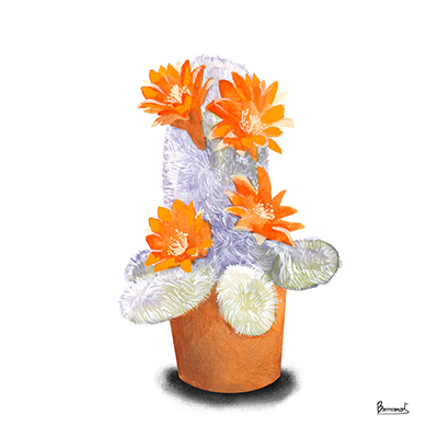 Cactus Flowers VI <br/> Bannarot
