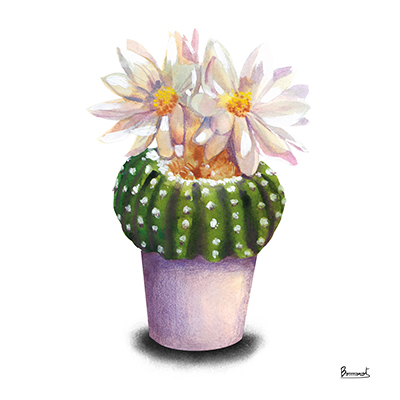 Cactus Flowers IX <br/> Bannarot
