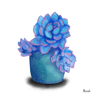 Turquoise Succulents I<br/>Bannarot