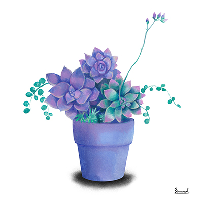 Turquoise Succulents II <br/> Bannarot