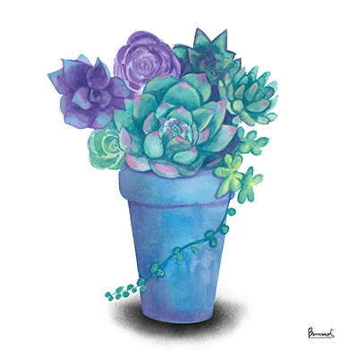 Turquoise Succulents IV<br/>Bannarot