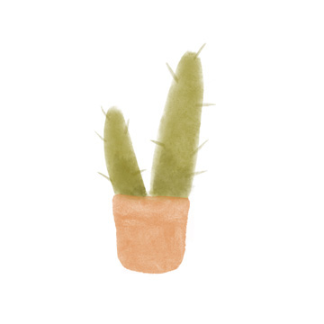 Watercolor Cactus II <br/> Bannarot