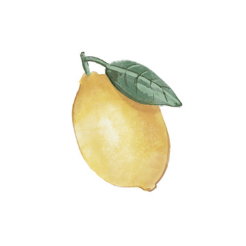 Citrus Limon II <br/> Bannarot