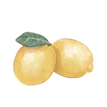 Citrus Limon III<br/>Bannarot