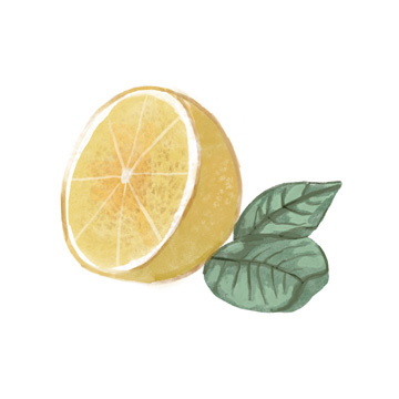 Citrus Limon IV <br/> Bannarot