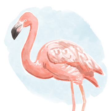 Tropical Flamingo I <br/> Bannarot