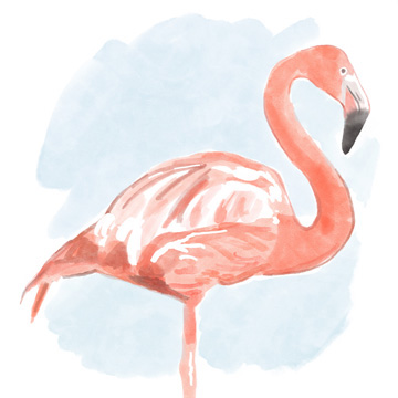 Tropical Flamingo II <br/> Bannarot