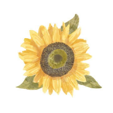 Single Sunflower I <br/> Bannarot