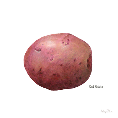 Organic Potatoes II <br/> Kelsey Wilson
