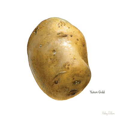 Organic Potatoes IV <br/> Kelsey Wilson