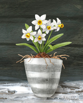 Farmhouse Garden II-White Daffodils <br/> Kelsey Wilson