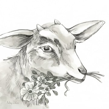 Watercolor Pencil Farm IV-Goat <br/> Kelsey Wilson