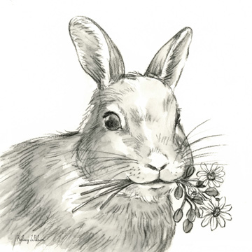 Watercolor Pencil Farm V-Rabbit<br/>Kelsey Wilson
