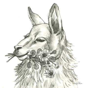 Watercolor Pencil Farm VII-Llama<br/>Kelsey Wilson