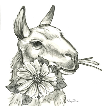 Watercolor Pencil Farm XI-Llama 2<br/>Kelsey Wilson