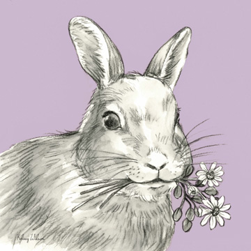 Watercolor Pencil Farm color V-Rabbit <br/> Kelsey Wilson