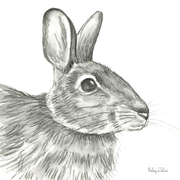 Watercolor Pencil Forest II-Rabbit<br/>Kelsey Wilson