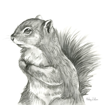 Watercolor Pencil Forest IV-Squirrel <br/> Kelsey Wilson