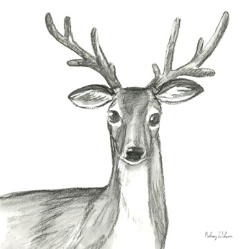 Watercolor Pencil Forest VIII-Deer <br/> Kelsey Wilson