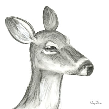 Watercolor Pencil Forest IX-Fawn <br/> Kelsey Wilson