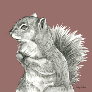 Watercolor Pencil Forest color IV-Squirrel <br/> Kelsey Wilson