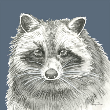 Watercolor Pencil Forest color VI-Raccoon <br/> Kelsey Wilson
