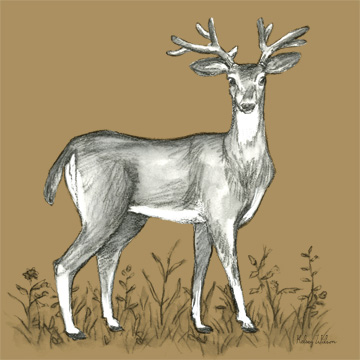 Watercolor Pencil Forest color XI-Deer 2 <br/> Kelsey Wilson