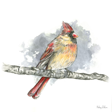Birds & Branches II-Female Cardinal <br/> Kelsey Wilson