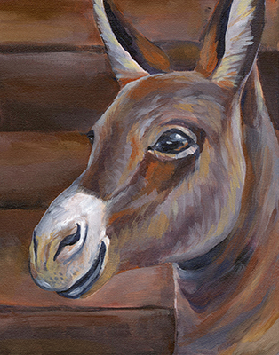 Barn Donkey <br/> Kelsey Wilson