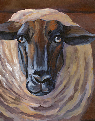 Barn Sheep<br/>Kelsey Wilson