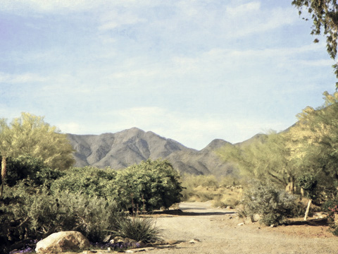 Desert Path <br/> Grafitee Studios